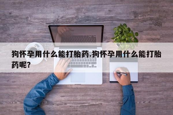 打胎药在线购买联系微信狗怀孕用什么能打胎药.狗怀孕用什么能打胎药呢？