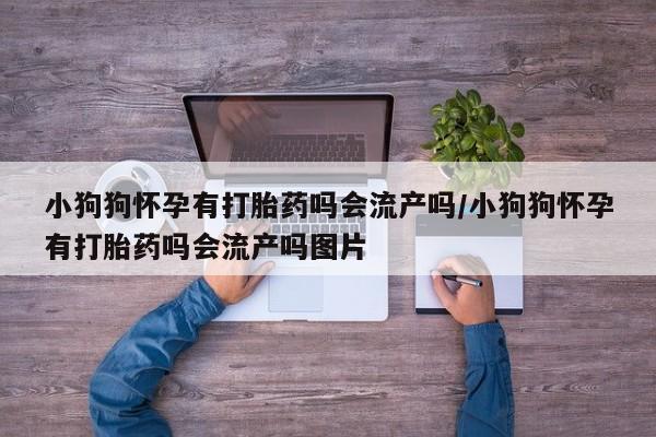 打胎药在线购买联系微信小狗狗怀孕有打胎药吗会流产吗/小狗狗怀孕有打胎药吗会流产吗图片
