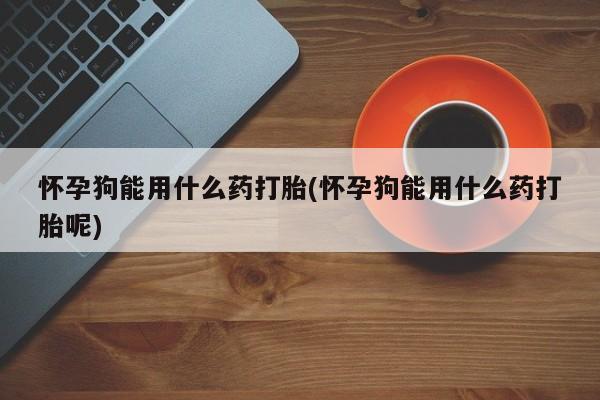 打胎药在线购买联系微信怀孕狗能用什么药打胎(怀孕狗能用什么药打胎呢)