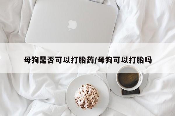 打胎药在线购买联系微信母狗是否可以打胎药/母狗可以打胎吗